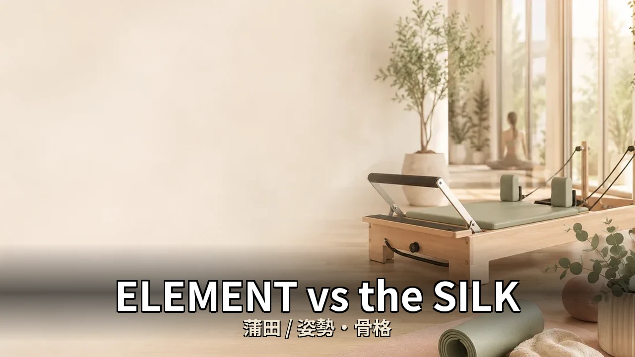 ELEMENT vs the SILK｜蒲田の姿勢・骨格を比較｜20代女性向け